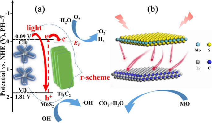 R‑Scheme Ti3C2 MXene/MoS2 2D/2D Heterojunctions: A Breakthrough in Photocatalytic Efficiency