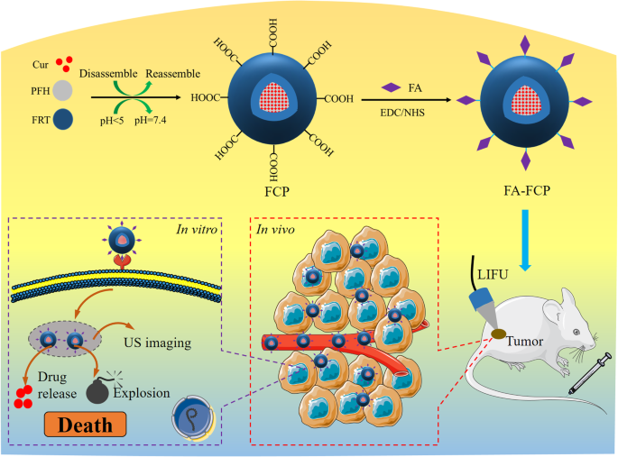 Targeted Curcumin Nanoparticles Activated by Low‑Intensity Focused Ultrasound for pH‑Responsive Theranostics in Ovarian Cancer