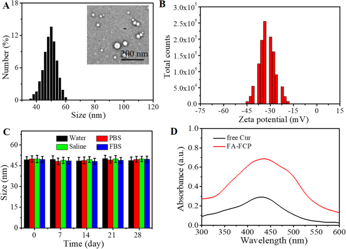 Targeted Curcumin Nanoparticles Activated by Low‑Intensity Focused Ultrasound for pH‑Responsive Theranostics in Ovarian Cancer