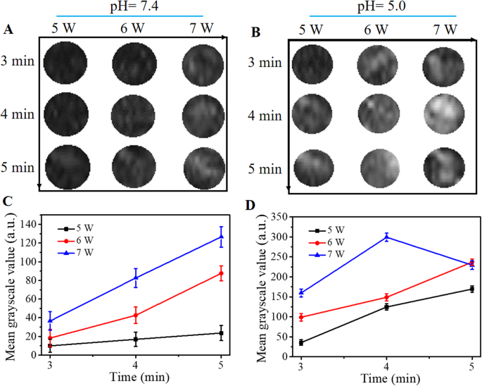 Targeted Curcumin Nanoparticles Activated by Low‑Intensity Focused Ultrasound for pH‑Responsive Theranostics in Ovarian Cancer