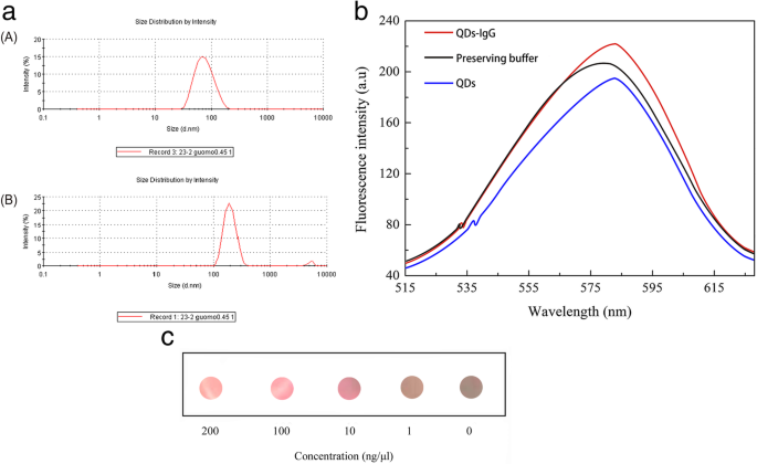Advanced PAMAM‑Quantum Dot Complexes for Rapid Clinical Immunoassays