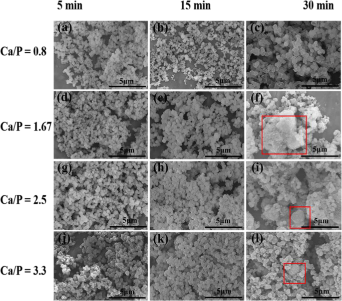 High‑Surface‑Area Yolk‑Shell Calcium Phosphate Microspheres from Organic Phosphorous and Calcium Sources for Enhanced HEL Adsorption