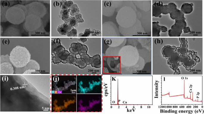 High‑Surface‑Area Yolk‑Shell Calcium Phosphate Microspheres from Organic Phosphorous and Calcium Sources for Enhanced HEL Adsorption