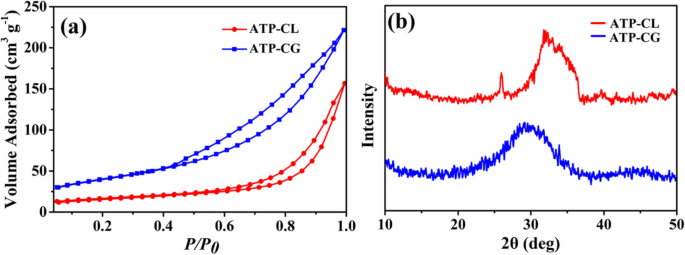 High‑Surface‑Area Yolk‑Shell Calcium Phosphate Microspheres from Organic Phosphorous and Calcium Sources for Enhanced HEL Adsorption