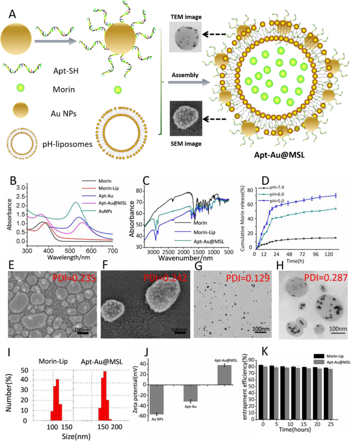 Targeted pH‑Responsive Liposomal Delivery of Morin via Aptamer‑Gold Nanoparticle Conjugates for Cancer Therapy