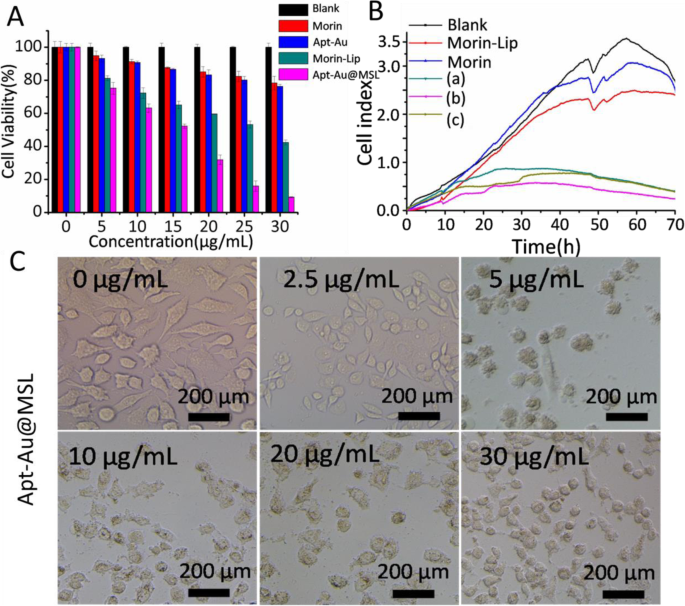 Targeted pH‑Responsive Liposomal Delivery of Morin via Aptamer‑Gold Nanoparticle Conjugates for Cancer Therapy