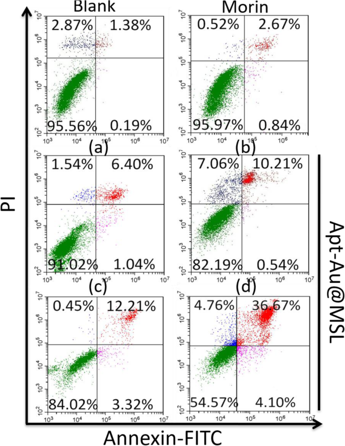 Targeted pH‑Responsive Liposomal Delivery of Morin via Aptamer‑Gold Nanoparticle Conjugates for Cancer Therapy