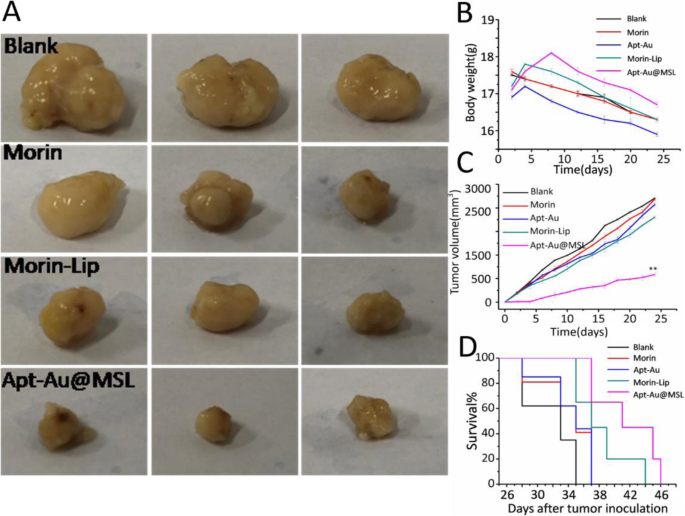 Targeted pH‑Responsive Liposomal Delivery of Morin via Aptamer‑Gold Nanoparticle Conjugates for Cancer Therapy
