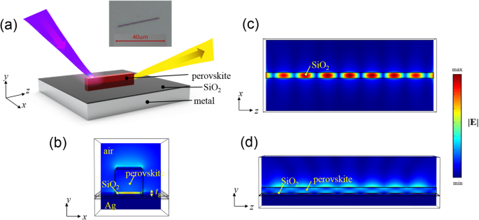 Perovskite Surface Plasmon Nanolaser: Tunable Wavelengths & Low‑Threshold Performance
