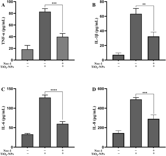 Nec-1 Mitigates Titanium Dioxide Nanoparticle-Induced Neurotoxicity in SH-SY5Y Cells via RIP1 Modulation