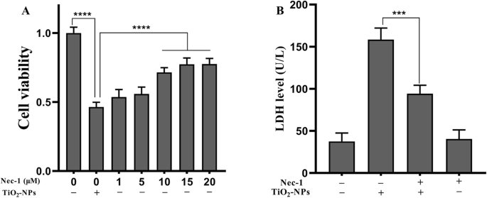 Nec-1 Mitigates Titanium Dioxide Nanoparticle-Induced Neurotoxicity in SH-SY5Y Cells via RIP1 Modulation