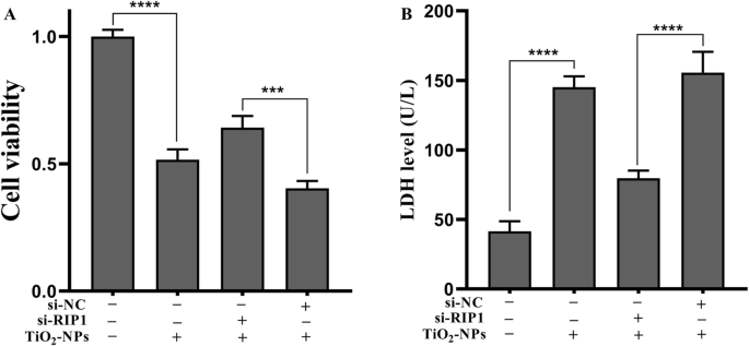 Nec-1 Mitigates Titanium Dioxide Nanoparticle-Induced Neurotoxicity in SH-SY5Y Cells via RIP1 Modulation