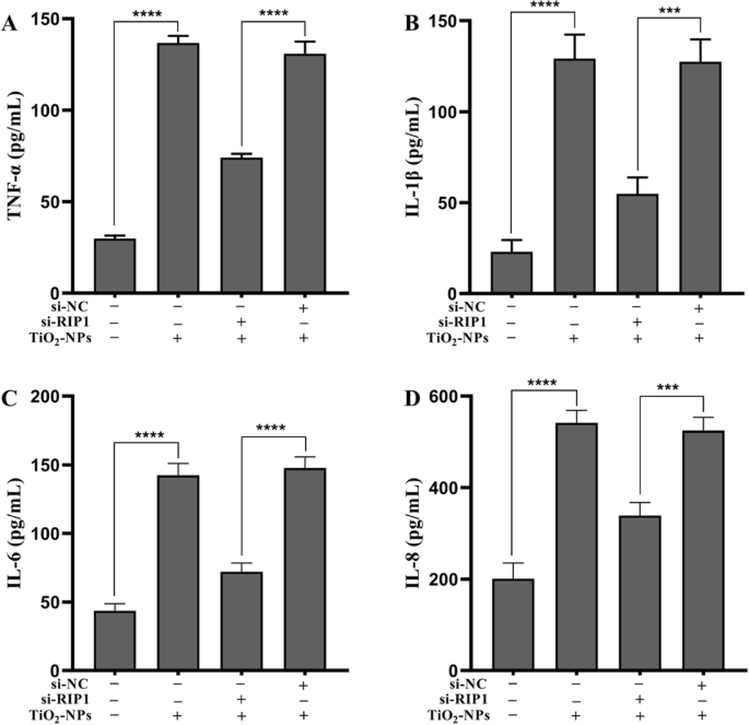 Nec-1 Mitigates Titanium Dioxide Nanoparticle-Induced Neurotoxicity in SH-SY5Y Cells via RIP1 Modulation