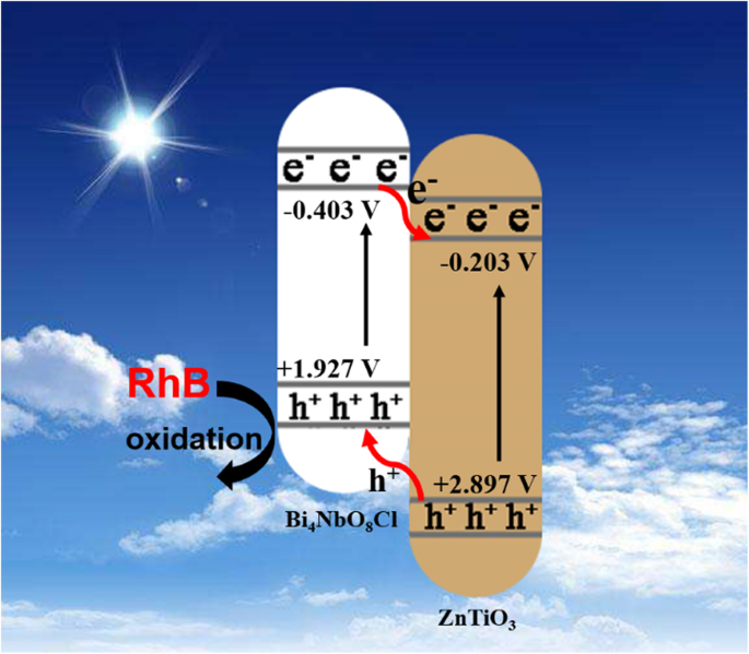 ZnTiO3/Bi4NbO8Cl Heterojunctions: A Novel Approach to Boost Photocatalytic Efficiency