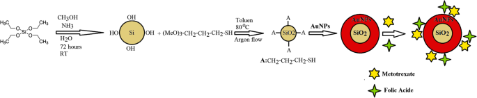 Innovative Methotrexate‑Folate Nanoparticle Therapy Enhances Breast Cancer Treatment with Laser‑Assisted Photothermal Approach