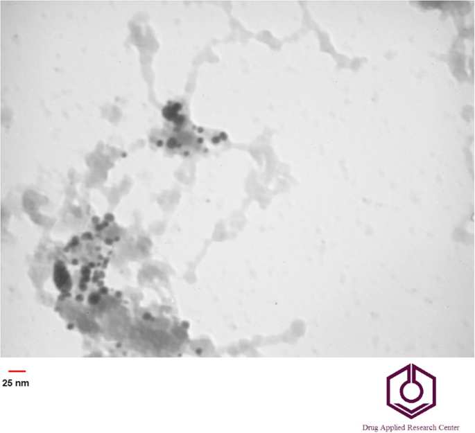 Innovative Methotrexate‑Folate Nanoparticle Therapy Enhances Breast Cancer Treatment with Laser‑Assisted Photothermal Approach