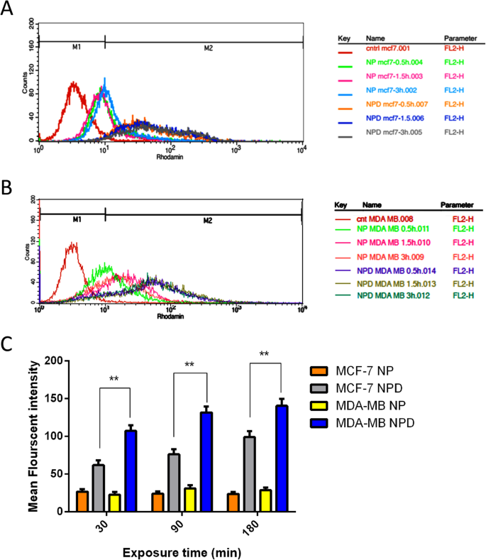 Innovative Methotrexate‑Folate Nanoparticle Therapy Enhances Breast Cancer Treatment with Laser‑Assisted Photothermal Approach