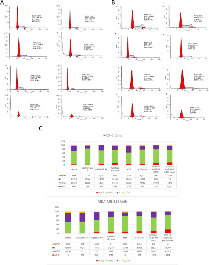 Innovative Methotrexate‑Folate Nanoparticle Therapy Enhances Breast Cancer Treatment with Laser‑Assisted Photothermal Approach
