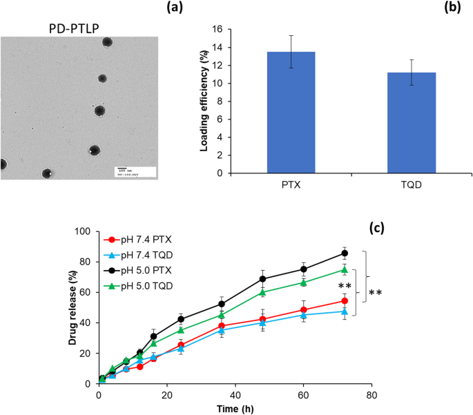 Targeted Nanoliposome Delivery of Paclitaxel and P-gp Inhibitor via PD‑L1 Antibody to Overcome Multidrug‑Resistant Gastric Cancer