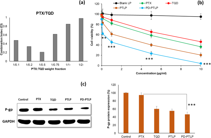 Targeted Nanoliposome Delivery of Paclitaxel and P-gp Inhibitor via PD‑L1 Antibody to Overcome Multidrug‑Resistant Gastric Cancer