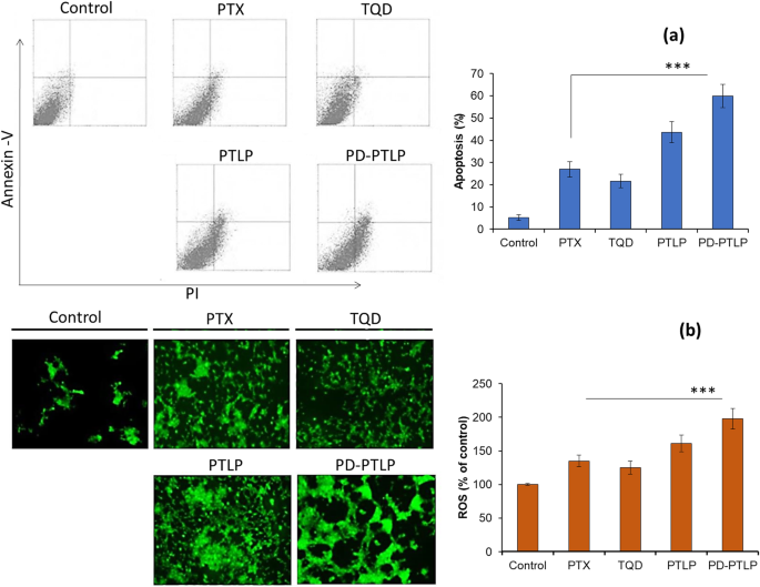 Targeted Nanoliposome Delivery of Paclitaxel and P-gp Inhibitor via PD‑L1 Antibody to Overcome Multidrug‑Resistant Gastric Cancer