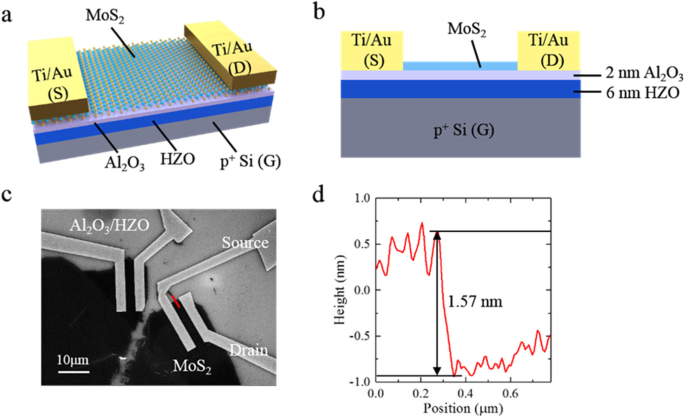 Ultra‑Low‑Voltage 2D MoS2 Ferroelectric Memory Transistor with Hf₁₋ₓZrₓO₂ Gate for CMOS Compatibility