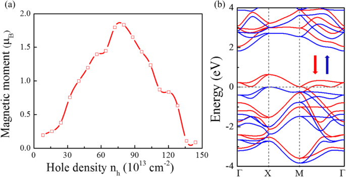SnxPy Monolayers: Promising 2D Materials with High Stability, Exceptional Carrier Mobility, and Ferromagnetic Behavior