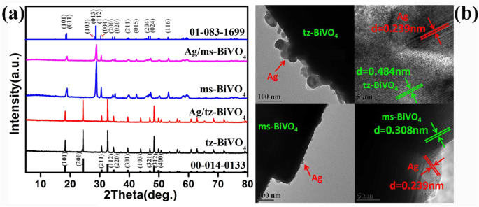 How Ag-Modified BiVO4 Enhances Photocatalytic Antibacterial Performance: A Structural-Dependent Study