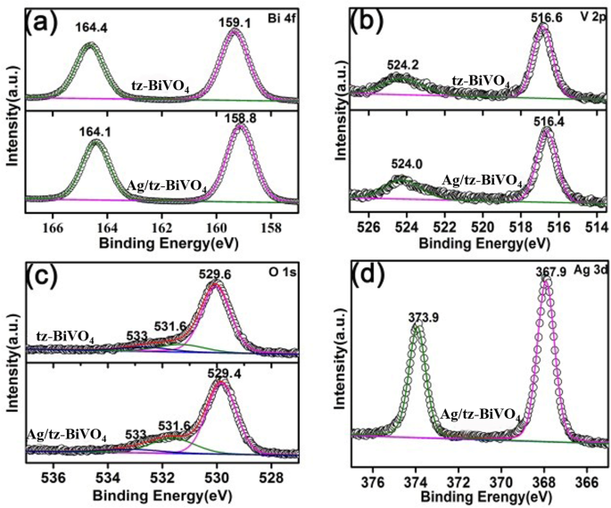 How Ag-Modified BiVO4 Enhances Photocatalytic Antibacterial Performance: A Structural-Dependent Study