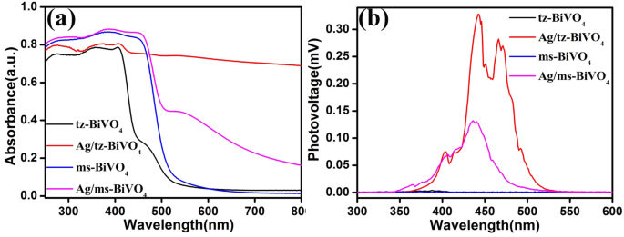How Ag-Modified BiVO4 Enhances Photocatalytic Antibacterial Performance: A Structural-Dependent Study