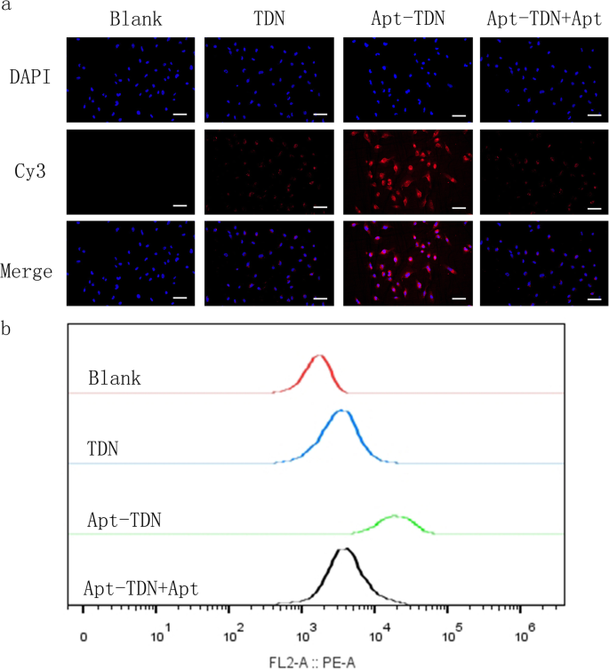 Targeted Glioma Therapy: Gint4.T-Modified DNA Tetrahedrons Deliver Doxorubicin to Inhibit PDGFRβ-Driven Cell Proliferation