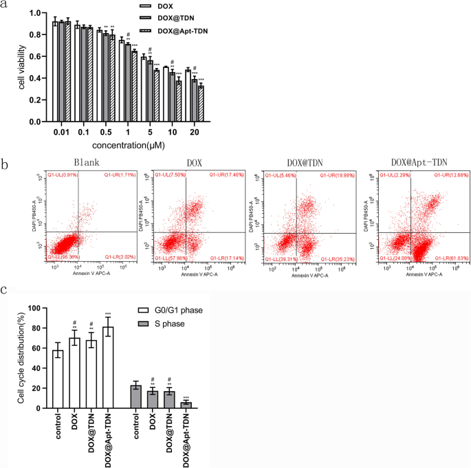 Targeted Glioma Therapy: Gint4.T-Modified DNA Tetrahedrons Deliver Doxorubicin to Inhibit PDGFRβ-Driven Cell Proliferation