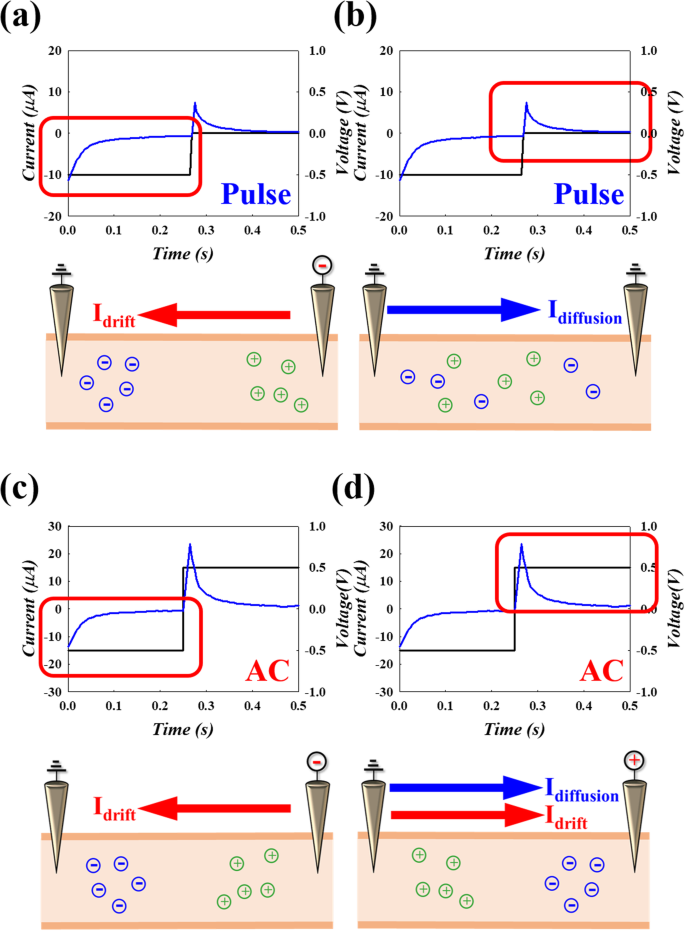 Investigating Meridian Response Currents to Electrical Pulse Acupuncture: A Physics-Based Study