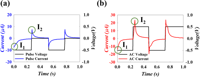 Investigating Meridian Response Currents to Electrical Pulse Acupuncture: A Physics-Based Study