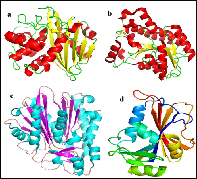 Economical Synthesis and Comparative Catalytic & Antimicrobial Performance of Nb and Ta Selenide/ Telluride Nanocomposites