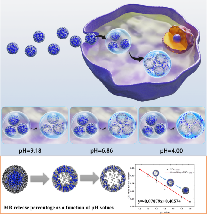 Developing a Precise Lysosomal pH Sensor Using Self-Decomposing SiO2 Nanoparticles