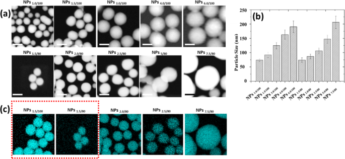 Developing a Precise Lysosomal pH Sensor Using Self-Decomposing SiO2 Nanoparticles