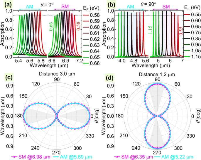 Dual Switchable Plasmonic Transparency via Distinct Graphene Resonators