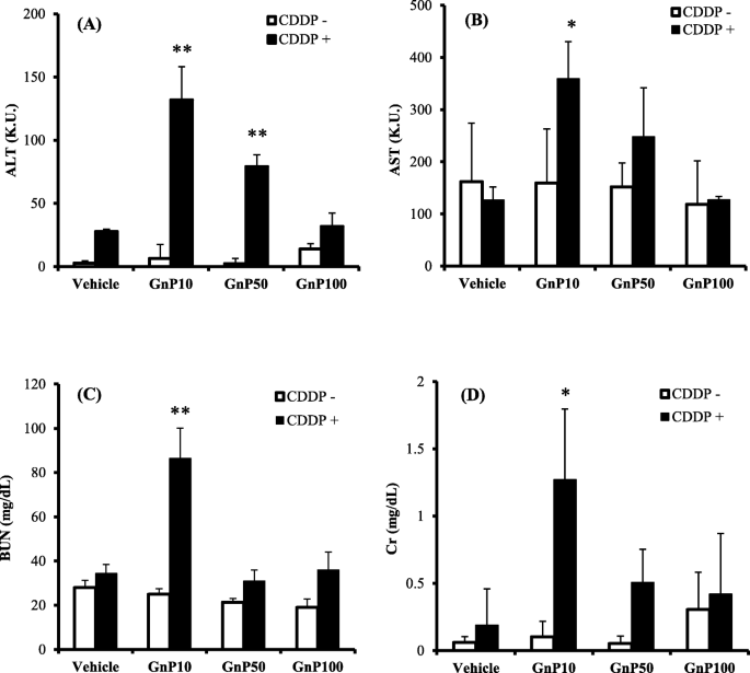 Gold Nanoparticle-Drug Interactions Cause Acute Kidney Damage in Mice: A Size-Dependent Toxicity Study