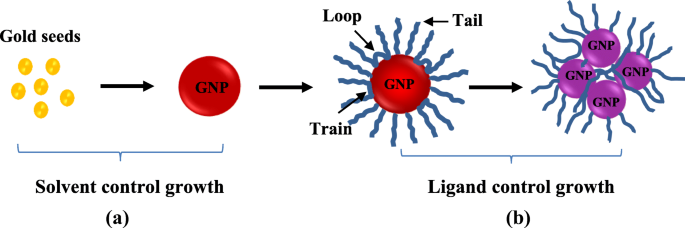 Controlling Gold Nanoparticle Size via Solvent Polarity in Chemical Reduction Synthesis