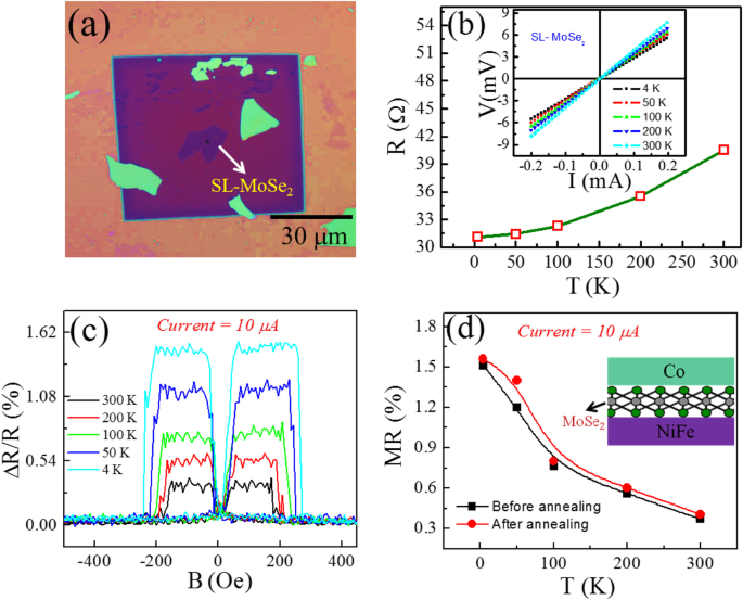 Tuning Magnetoresistance Polarity in Bilayer Graphene/Monolayer MoSe₂ Heterostructures