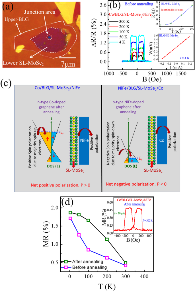 Tuning Magnetoresistance Polarity in Bilayer Graphene/Monolayer MoSe₂ Heterostructures