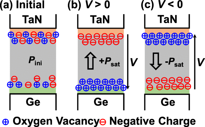 Stable Ferroelectric‑Like Behavior in 3.6‑nm Amorphous Al₂O₃ Enables Scalable Multi‑Gate NVFETs