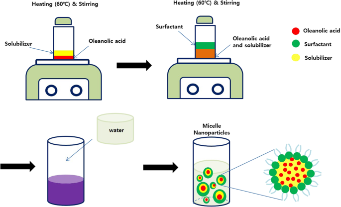 Polymeric Micelle Delivery of Oleanolic Acid: Enhanced Solubility and Proven Anti‑Wrinkle Efficacy