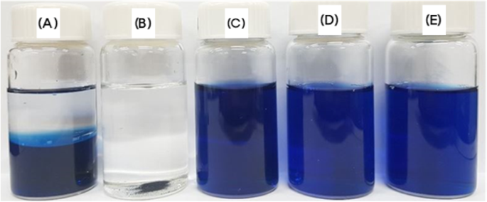Polymeric Micelle Delivery of Oleanolic Acid: Enhanced Solubility and Proven Anti‑Wrinkle Efficacy