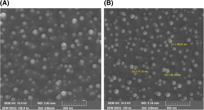 Polymeric Micelle Delivery of Oleanolic Acid: Enhanced Solubility and Proven Anti‑Wrinkle Efficacy