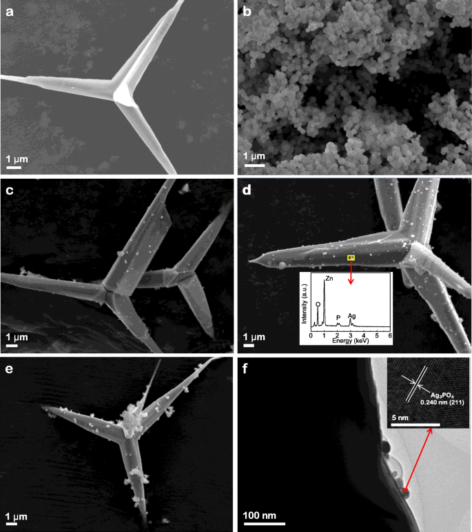 Synthesis and Enhanced Photocatalytic Degradation of Rhodamine B by Ag3PO4/T‑ZnO Whisker Heterostructures