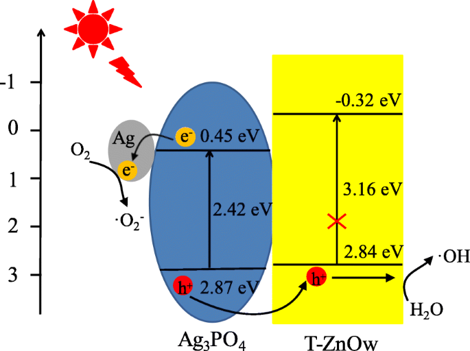 Synthesis and Enhanced Photocatalytic Degradation of Rhodamine B by Ag3PO4/T‑ZnO Whisker Heterostructures