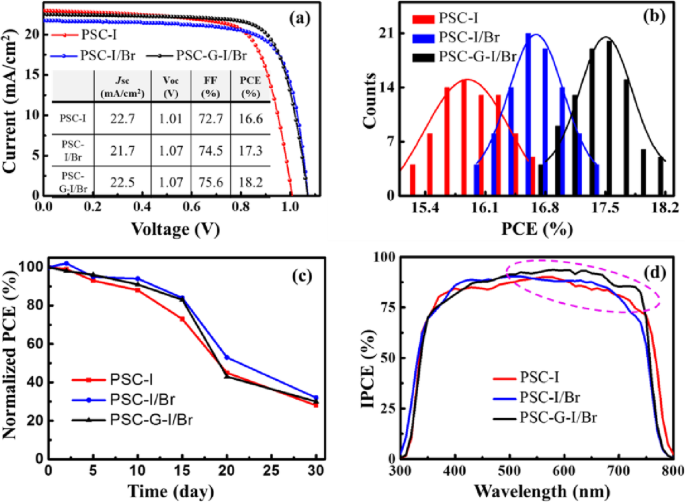 Gradient‑Engineered Light‑Absorbing Layer Boosts Carrier Separation and Efficiency in Perovskite Solar Cells