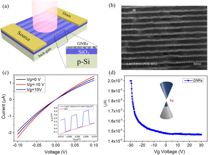 Dynamic Control of Photodetector Responsivity in Graphene Nanoribbon Devices